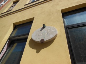 DSCN3305