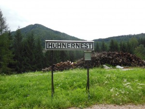 DSCN4883
